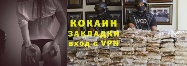 трава Ахтубинск