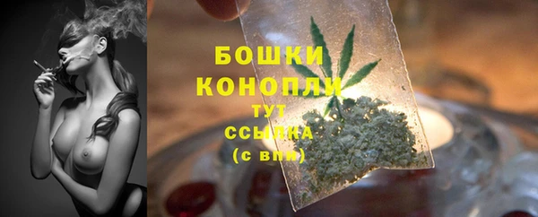 трава Ахтубинск