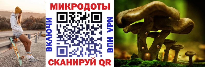 как найти закладки  Дрезна  Псилоцибиновые грибы Magic Shrooms 